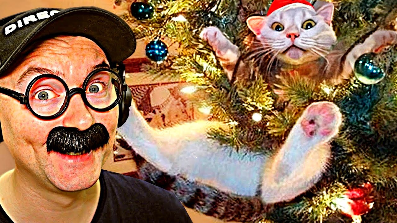 САМЫЕ СМЕШНЫЕ ВИДЕО 2025 ГОДА от Олежэ