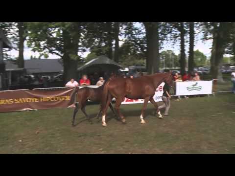 Lot 101   M14   Khalkevi   Sculture