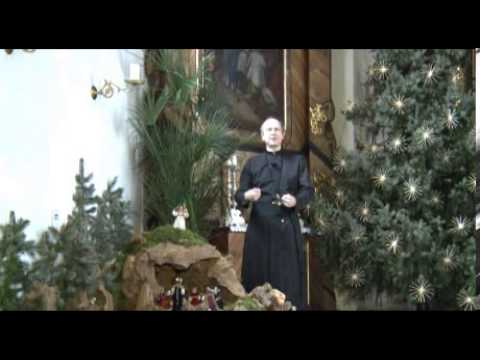 Warum sind Ochs und Esel an der Krippe?