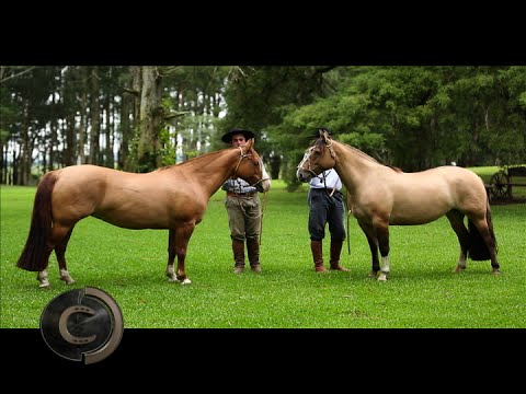 Oraca is also a great mother!