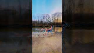 Video LENKA V DAVU - Lidi [OFFICIAL VIDEO]