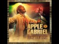 Apple Gabriel Hypocrites 2010