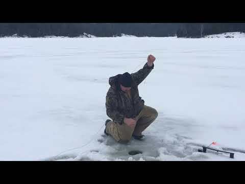 Hand Bombing 5.5 Pound Lake Trout