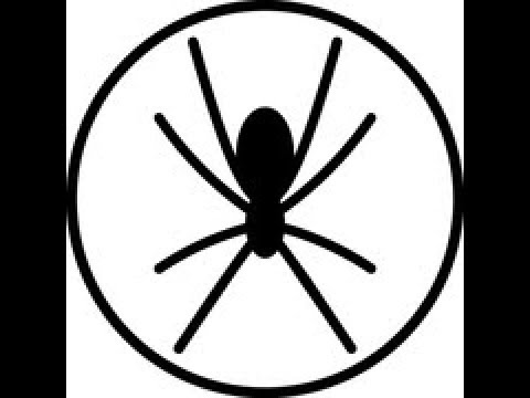 Adding Aircraft & Spiders to an Organisation