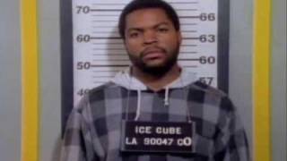 Ice Cube - Check yo self