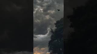 Download lagu Manitharkal silaneram niram song  #whatsappstatus#spbsongs download/nalam vazha ennalum song status mp3