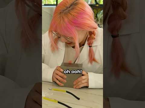 Lily vs Tungsten Cube