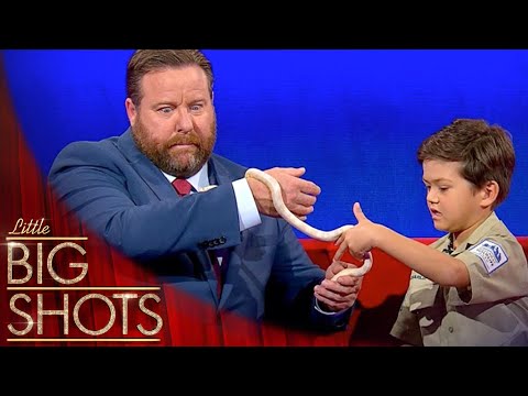 6 Year Old Reptile Ranger Charlie Shares His Love For Wildlife @BestLittleBigShots