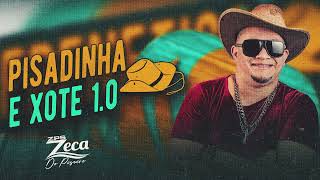 ZECA DO PISEIRO 2025   PISADINHA E XOTE