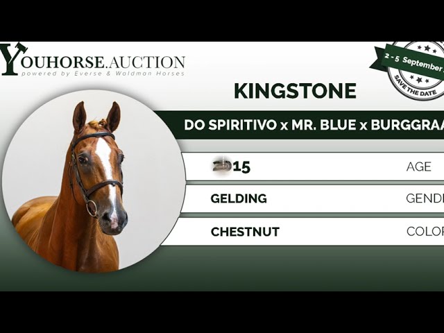 Kingstone @ show