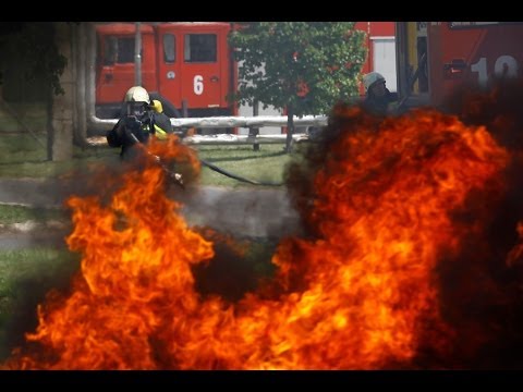 Hogyan kerül egy bika szalagféreg az emberbe