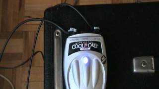 Video thumbnail for Danelectro Cool Cat Drive V2 by Gutek