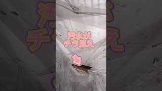 エアコンのカバーがボコボコだったから直すついでに掃除だ！#エアコン　#エアコンクリーニング　#エアコン清掃