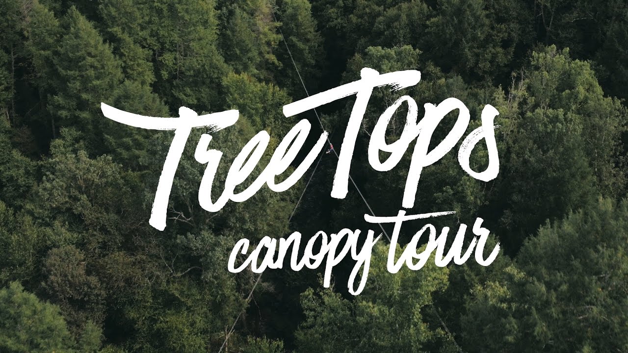 Treetops Canopy Tour