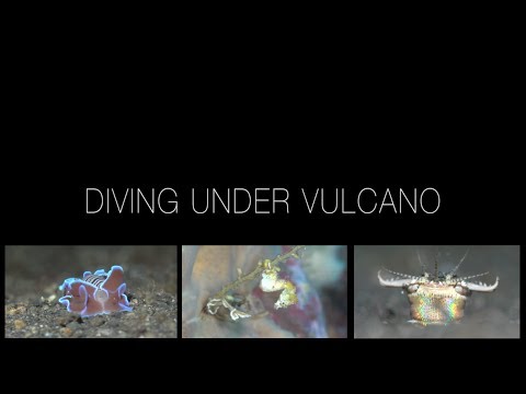 Diving under Vulcano, Sangihe,Indonesien