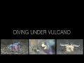 Diving under Vulcano, Blue Bay Divers, Sahaung Island, Nord Sulawesi, Indonesien, Sulawesi