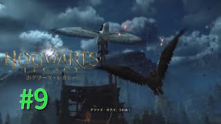 #9【オープンワールド】HOGWARTS LEGACY~ライドン！ヒッポグリフ~