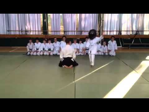Harlem shake Aikido vereniging Bushi Dojo Poortugaal