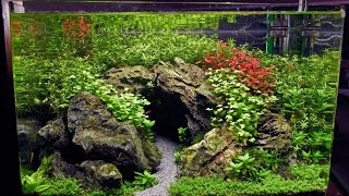 15 Gal Planted tank - The Cave