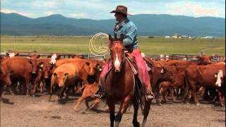 preview picture of video 'Ranchers Horse Sale - Western Broke Horses'