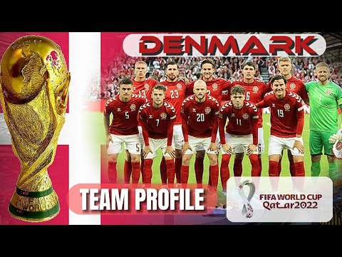 Denmark profile team ‼️ To world cup 2022