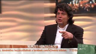 Deutsch Tamás a Nemzeti Konzultációról, TV2 Mokka – 2014. november 14.