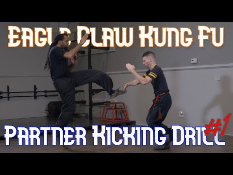Eagle Claw Kung Fu Ying Jow Pai Front Kick and Jump Front Kick Partner Kick #1