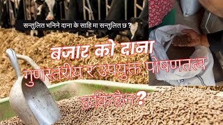 सन्तुलित भनेर बजारमा बेचिने दाना वास्तवमा कतिको सन्तुलित छ? #drbhat #goat #baffalo #cattle