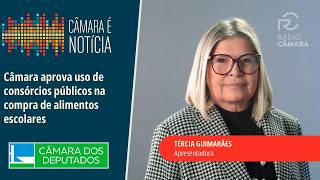 Câmara aprova uso de consórcios públicos na compra de alimentos escolares - 21/8/26 #câmaraénotícia
