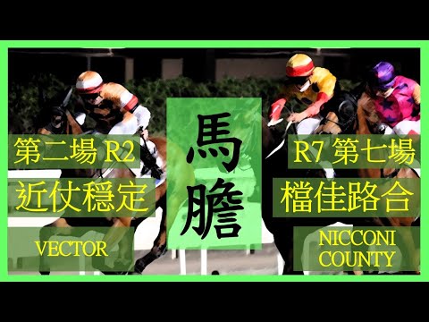 【賽馬貼士】Nek Chang 馬膽 Banker R2 上場出色 VECTOR R7 檔佳路合 NICCONI COUNTY Hong Kong Horse Racing Tips