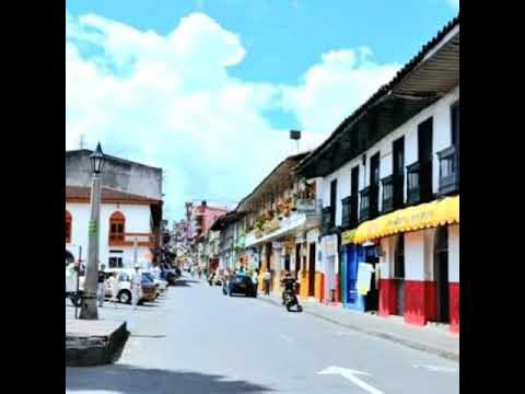 maldito retrato los coyotes