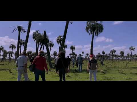 Ganaderos del Palmar - PFO