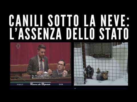Utile di succo di melograno per la potenza Femminile patogeno negozio