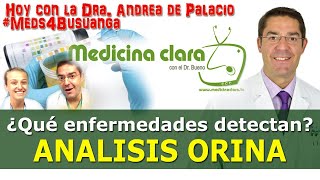 Análisis de orina, analíticas de orina. 👀 ¿Qué enfermedades se ven en la orina | Medicina Clara