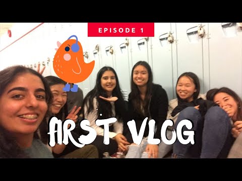 INTRO VLOG + MTSD10!