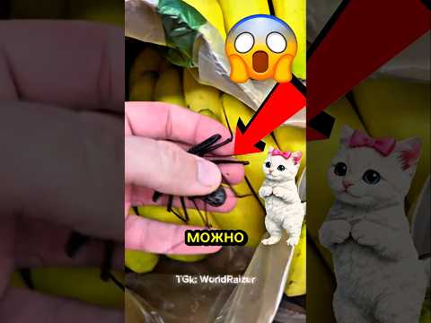 Этот паук Безопасен?🕷🛡 Топ Жутких существ, нашего мира!🫨