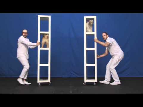OK Go videoclip creativo