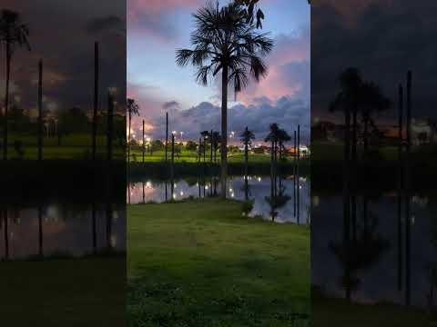 #rioverdegoias #2026 #janeiro