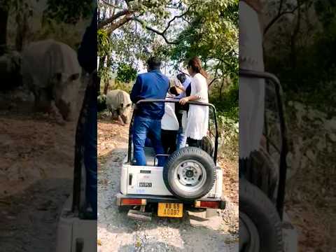 Rhinos attack tourists in Jaldapara forest,Doars  #travel #trending #shortsviral #safari #accident
