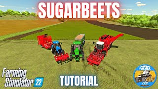 HOW TO GROW SUGARBEETS - Farming Simulator 22