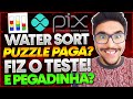 Water Sort Puzzle Paga Mesmo Ou Pegadinha Fiz O Teste D