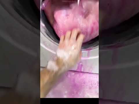 The Guy Accidently Colour his White Carpet To Pink... #shorts
