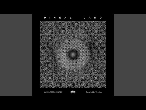 Bacteria (Original Mix)