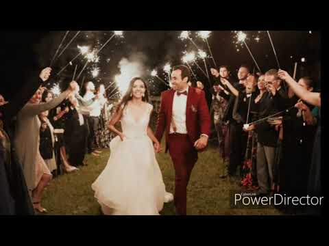 The Best Translator In The World: ROMINA TRANSLATOR SERVICE:ALL Language