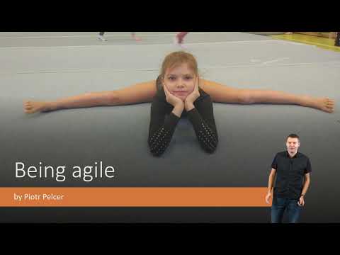 Being Agile by Piotr Pelcer