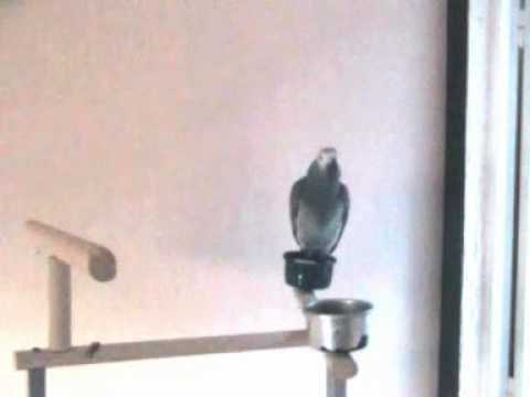 Video Nina stach stach