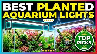 TOP 5 Best Planted Aquarium Lights 2026