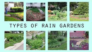 Download lagu Rain Gardens 101, Part Two: Types of Rain Gardens mp3 Download lagu Rain Gardens 101, Part Two: Types of Rain Gardens mp3