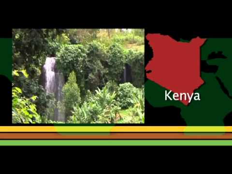 Soils: a hidden resource