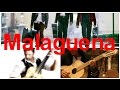 Malaguena - не сложная испанская тема (разбор) 